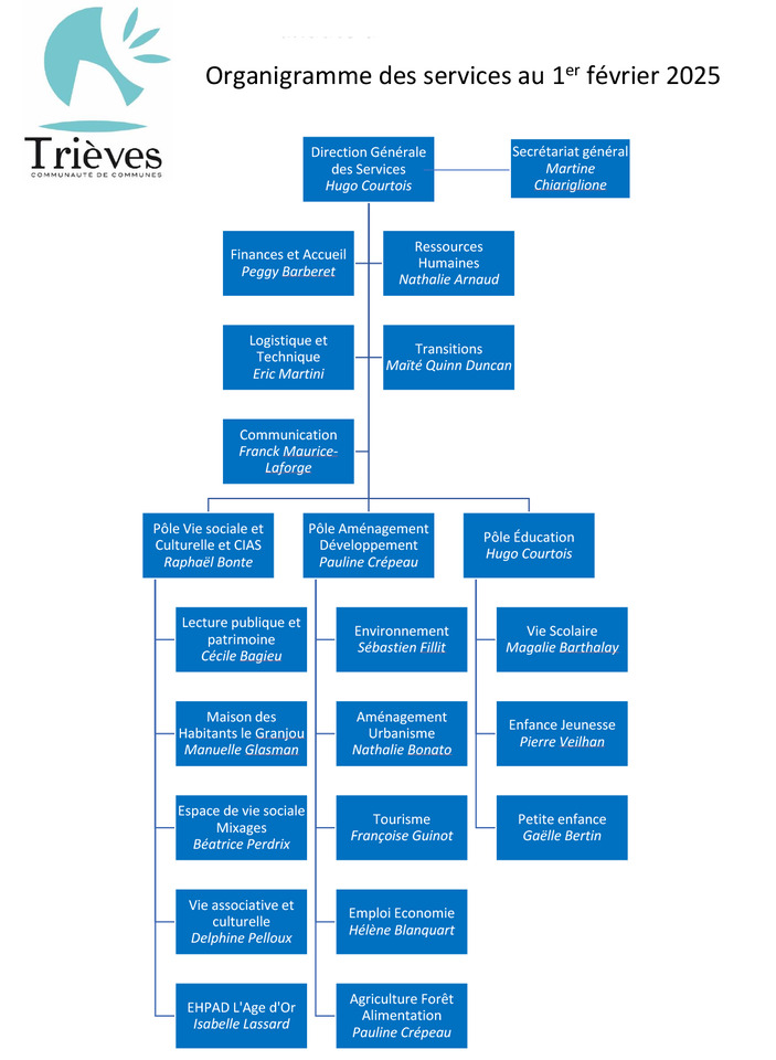 organigramme.jpeg