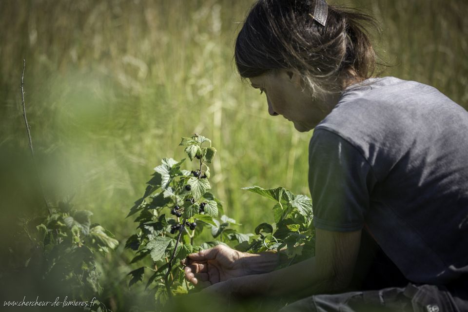 Agriculture Temoignagne Guillaume Andru